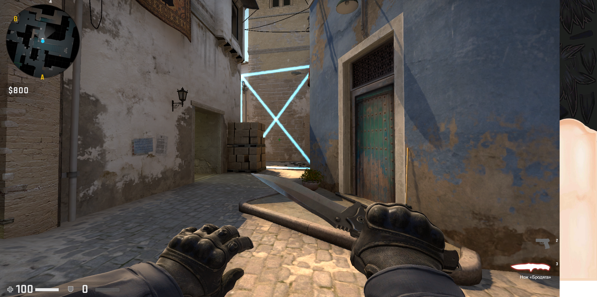 Random Plant + Block | Рандомные пленты с закрытием другого